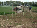 Views May-June 2006 1