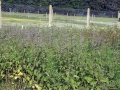 Views May-June 2006 3
