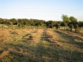 Views Sept 2006 3